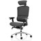 Ergo Click Plus Fabrimesh Operator Chair, Headrest, Height Adjustable Arms, Grey