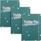 Pukka Pad Glee Journal Casebound Notebook, A5, Ruled, 192 Pages, Green, Pack of 3