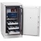 Phoenix Data Commander Data Safe, Size 1, Key Lock