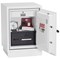 Phoenix Datacombi Data Safe, Size 1, Electronic Lock
