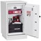 Phoenix Datacombi Data Safe, Size 2, Key Lock