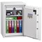 Phoenix Fire Fox Fire & S2 Security Safe, Size 1, Key Lock