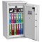 Phoenix Fire Fox Fire & S2 Security Safe, Size 2, Key Lock