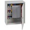 Phoenix Deep 50 Hook Key Cabinet, Key Lock