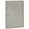 Phoenix Deep 100 Hook Key Cabinet, Key Lock