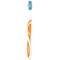 Colgate Max White Medium Toothbrush, Pack of 12