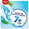 Colgate Plax Mouthwash Coolmint 250ml Pack of 6