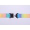 Avery Recycled Rainbow Pre-Printed Lanyard with 2cm Wide Carabiner, Pack of 10
