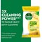 Dettol Antibacterial Biodegradable Citrus Floor Wipes, 10 Wipes Per Pack