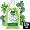 Dettol Concentrated Disinfectant Eucalyptus + Mint