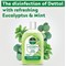 Dettol Concentrated Disinfectant Eucalyptus + Mint