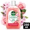Dettol Concentrated Disinfectant Rose + Peach Blossom