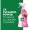 Dettol Antibacterial Multipurpose Cleaner Spray, Pomegranate and Lime, 1L, Pack of 6