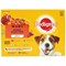 Pedigree Adult Wet Dog Food in Jelly Mixed Selection, 100g Pouches, Pack of 12