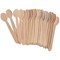 Caterpack Enviro Wooden Teaspoons, Pack of 100
