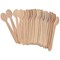 Caterpack Enviro Wooden Teaspoons (Pack of 100)