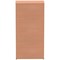 Impulse Tall Cupboard, 3 Shelves, 1600mm High, Beech