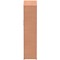 Impulse Tall Cupboard, 3 Shelves, 1600mm High, Beech