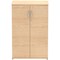 Impulse Medium Cupboard, 2 Shelves, 1200mm High, Maple