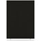 Impulse Plus Floor Screen, 1200x1650mm, Black