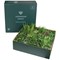 Vistafolia Signature Artificial Green Wall Panel 800x800mm PAN-SIG