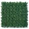 Vistafolia Luxury Boxwood Panel 800x800mm PAN-BXW
