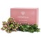 Vistafolia Spring Pink Colour Box (Pack of 30) CBX-SPK