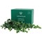 Vistafolia Trailing Ivy Texture Box (Pack of 9) TBX-TIV
