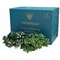 Vistafolia Flowering Texture Box (Pack of 24) TBX-FLW