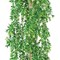 Vistafolia Extendable Buxus Trailing Foliage TPL-BUX