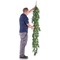 Vistafolia Extendable Jasmine Trailing Foliage TPL-JSM