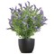 Vistafolia French Lavender Bush Purple FLB-PPL