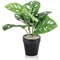 Tabletop Monstera Monkey Matte Lava Planter LLRMOM340/RDYLV