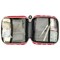 Safety First Aid Group Pet First Aid Kit Red