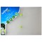 Snopake A4 Bio Polyfile Popper Wallets, Clear, Pack of 5