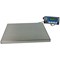 Salter Electronic Parcel Scale 60Kg (Detachable LCD screen hold and tare functions) X20Gms WS60