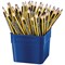 Staedtler Noris Jumbo 119 Learner's Pencils HB (Pack of 48)