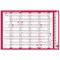 Sasco Compact Year Planner Landscape 2020 (Dimensions: W610 x H405mm)