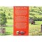 Yorkshire Tea Bags, Pack of 160