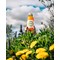 Vit-Hit Detox Mandarin and Orange, 12x500ml Bottles
