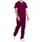 Dickies DKP520C Unisex Scrub Set Top and Trousers, Wine, Size XS