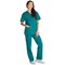 Dickies Signature V-neck Scrub Top, Hunter Green, 2XL