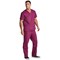 Dickies Signature Unisex Scrub Top, Wine Red, Medium