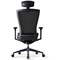 Bestuhl S10 High Back Mesh Task Chair With Headrest