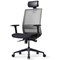Bestuhl S30 High Back Mesh Task Chair, Headrest, Height Adjustable Arms,