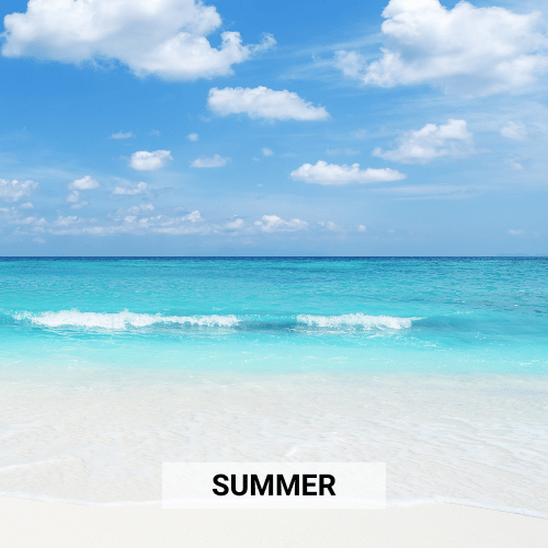 Shop Summer Essentials