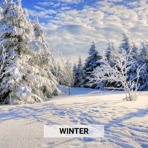 Shop Winter Essentials