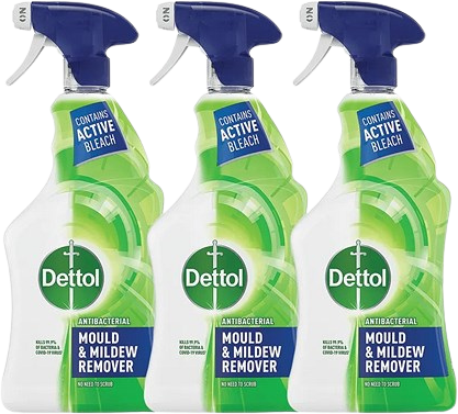 Dettol Mould and Mildew Remover 750ml