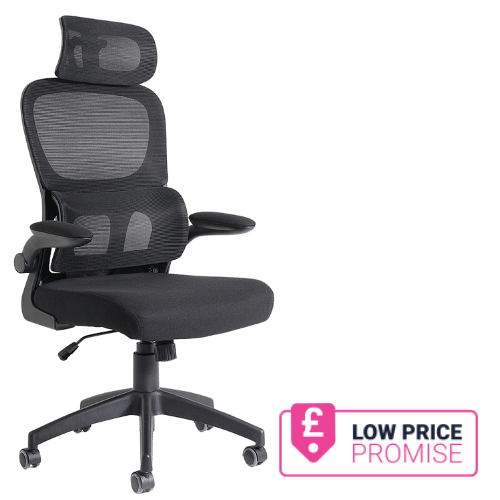 Iris Mesh Back Chair