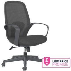 Ariel Mesh Chair
